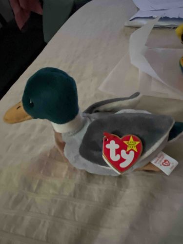 Jake the Mallard Duck Beanie Baby