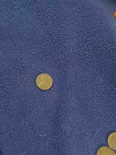 United States Lincoln Cent Penny
