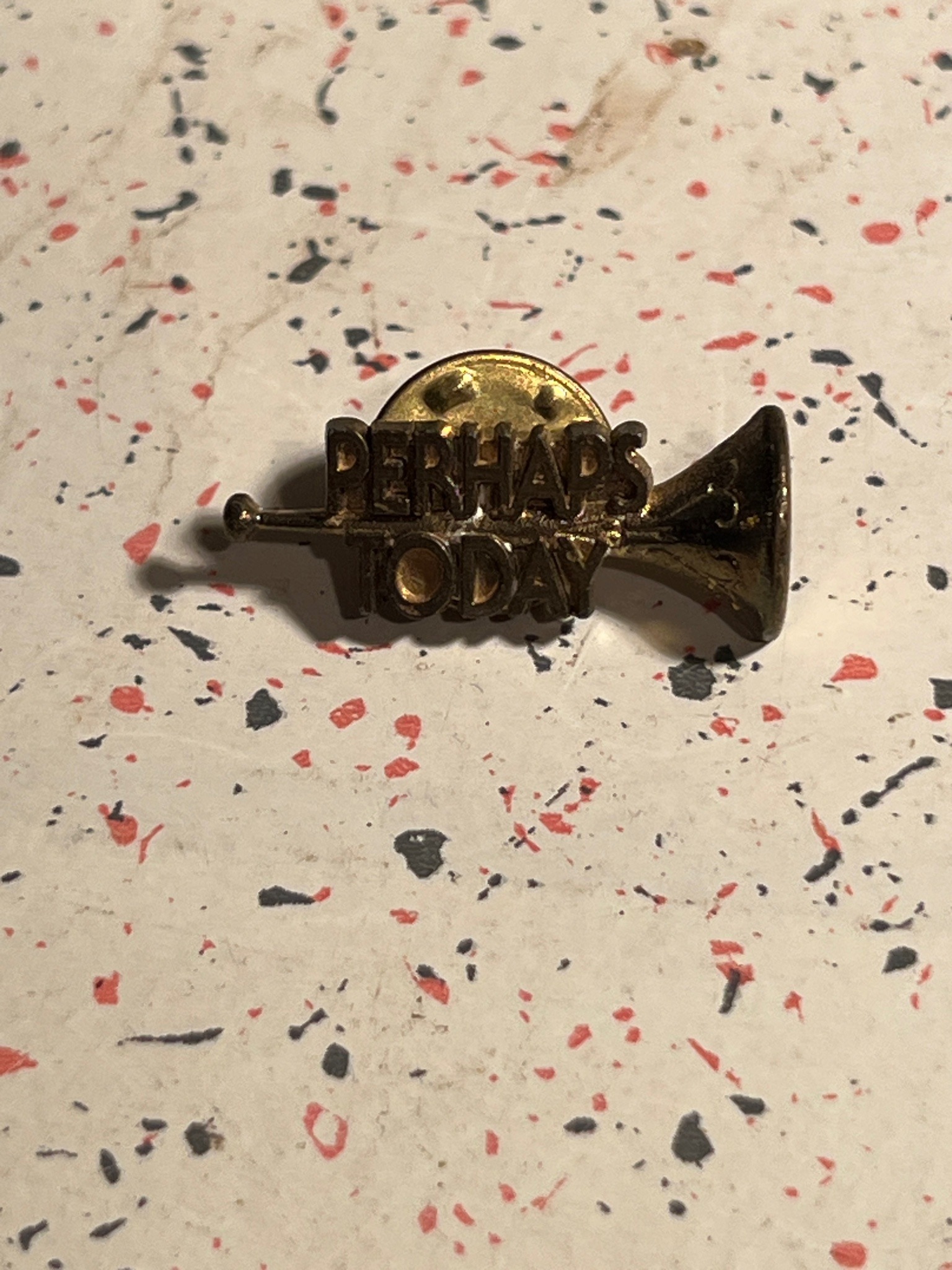 Submitted photo of Enamel lapel pin bearing text 'PERHAPS TODAY'
