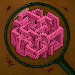 Optical Illusion Maze with Magnifying Glass and Insects