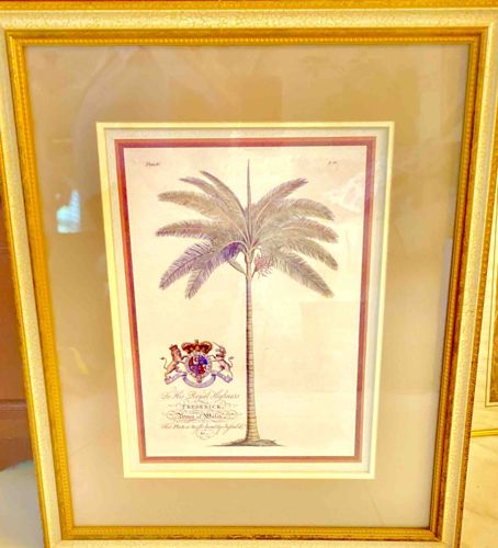 Framed Botanical Print of a Palm Tree with Royal Crest