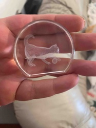 Laser-Etched Glass Cat Paperweight