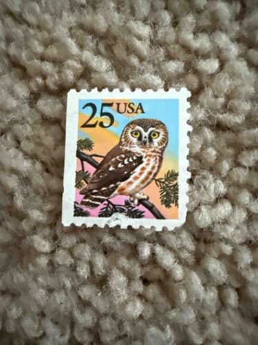 USA 25 Cent Saw-whet Owl Postage Stamp