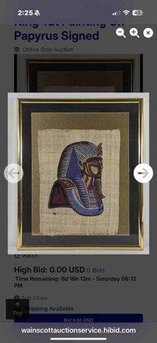 Framed Papyrus Art depicting King Tutankhamun