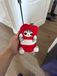 Plush Cat in Apple Costume