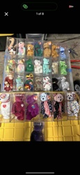 Collection of Beanie Babies in Protective Cases