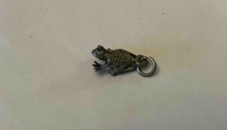 Frog or Toad Charm (Metal)