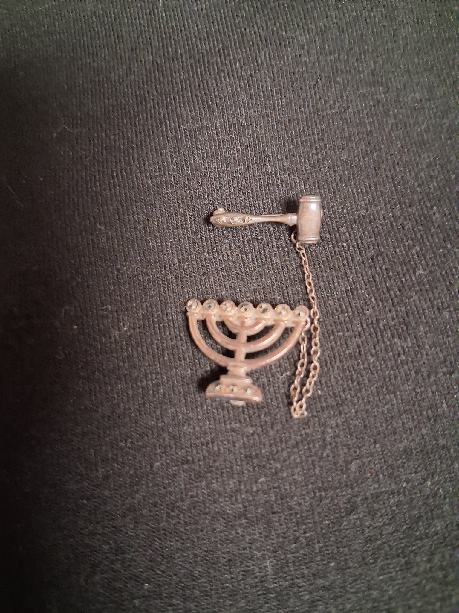Submitted photo of Menorah and Gavel Charm Pin