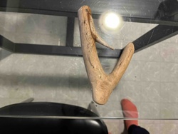 Carved Driftwood Branch