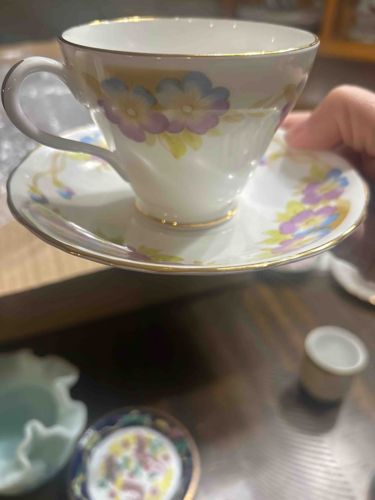 Royal Imperial Bone China Teacup and Saucer Set