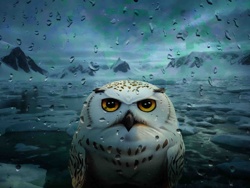 Digital Fine Art Print: Arctic Sentinel
