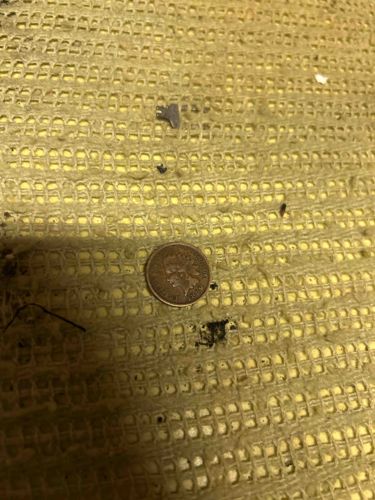 1899 Indian Head One Cent Coin