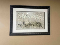 Framed White Phalaenopsis Orchid Print