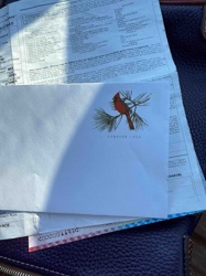 USPS Forever Stamp - Cardinal on Pine Branch