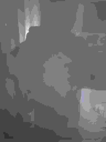 Deux jeunes filles de profil by Tsuguharu Foujita (1925 Lithograph)