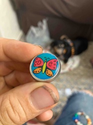 Butterfly Decorative Item