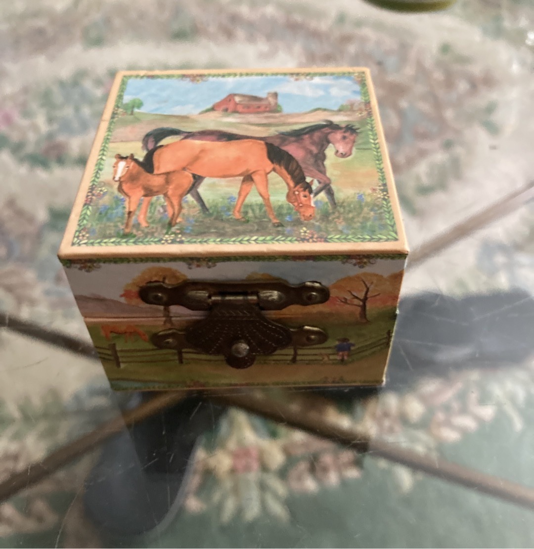 Submitted photo of Decorative Equestrian Trinket Box