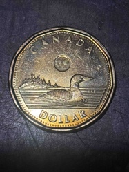Canadian One Dollar Coin (Loonie)