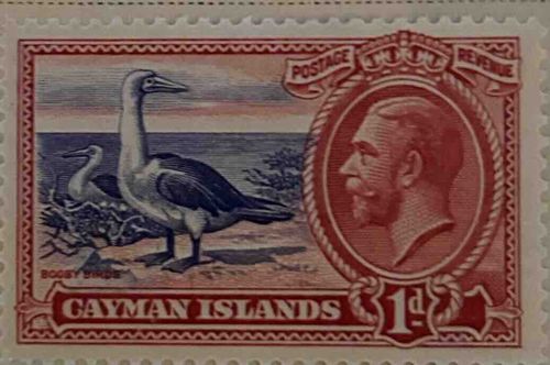 Cayman Islands 1d Postage & Revenue Stamp featuring Booby Birds and King George V