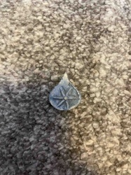Teardrop-Shaped Decorative Star Object