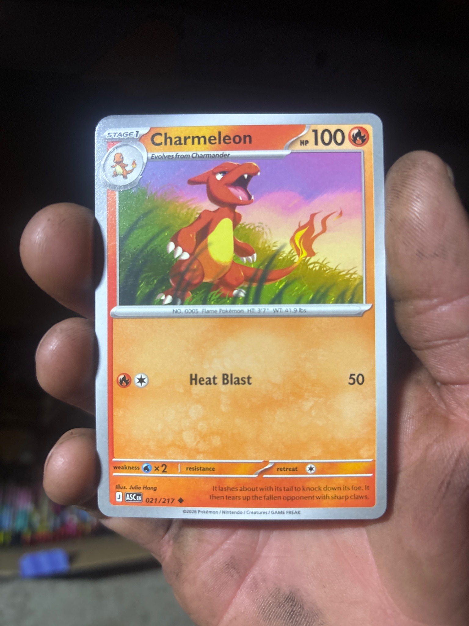 Submitted photo of Charmeleon Trading Card (not authenticated)