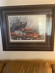 Framed "Quail and Poppies" Wildlife Art Print