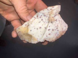 Rhyolite (Poppy Jasper Type) Mineral Specimen