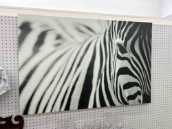 Monochrome Zebra Head Canvas Print