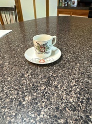 Vintage Floral Demitasse Cup and Saucer Set