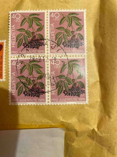 Block of Four 1976 Helvetia Pro Juventute Stamps (Elderberry Motif)