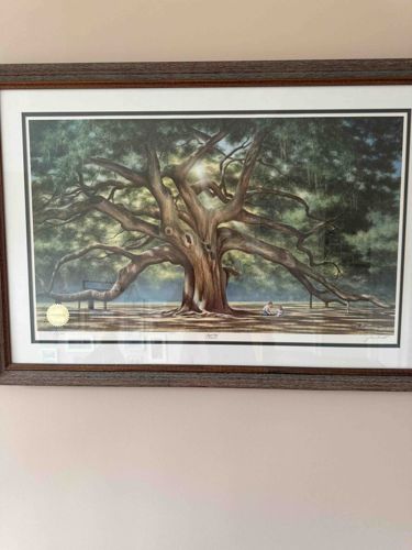 Jim Harrison "The Angel Oak" Framed Print