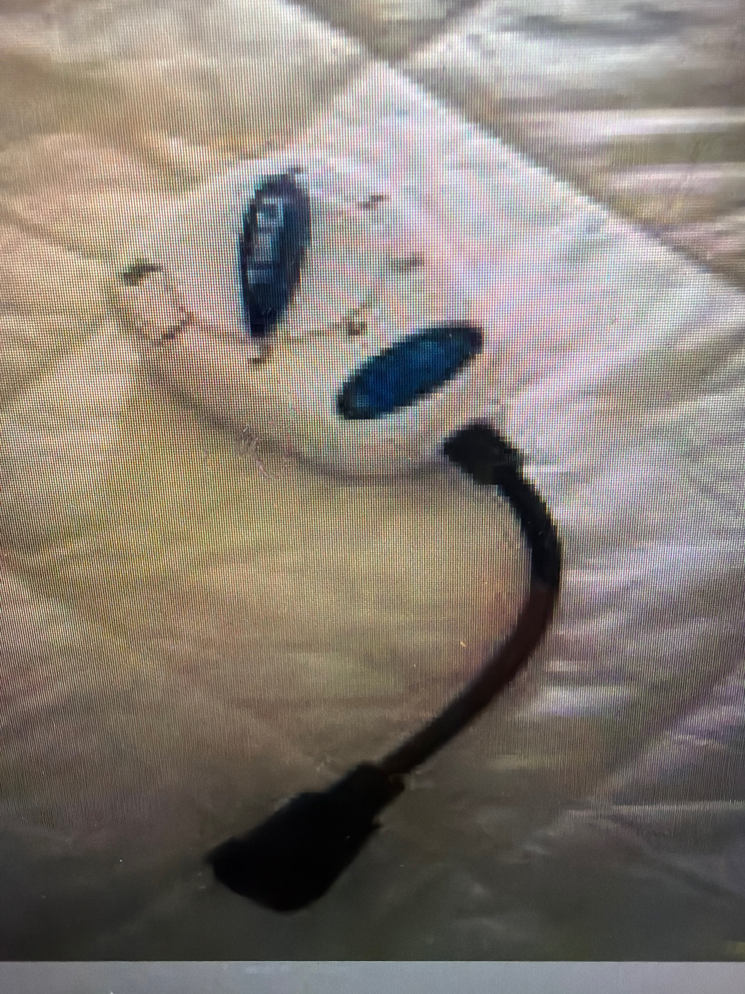 Submitted item photo