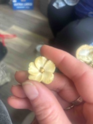 Carved Ivory Flower with Metal Center