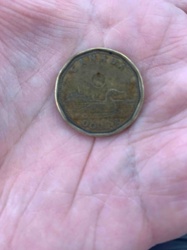 Canadian Loonie (One Dollar Coin)