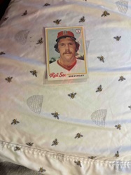 1970s Bob Stanley Boston Red Sox Baseball Card