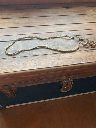 Vintage Gold-Tone Serpent or Snake Link Chain