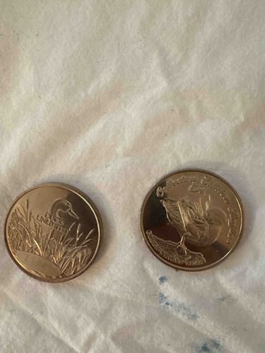 Ducks Unlimited Collector Series Bronze Commemorative Medallion