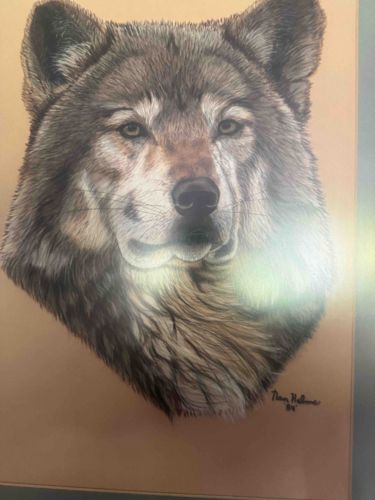Wildlife Art Print of a Wolf Head
