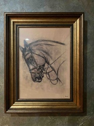 Framed Charcoal Drawing of a Bridled Horse Head