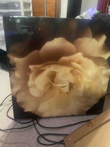 Contemporary Yellow Rose Canvas Photo Print