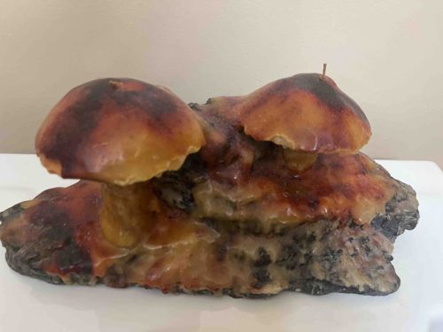 Mushroom Cluster Novelty Candle