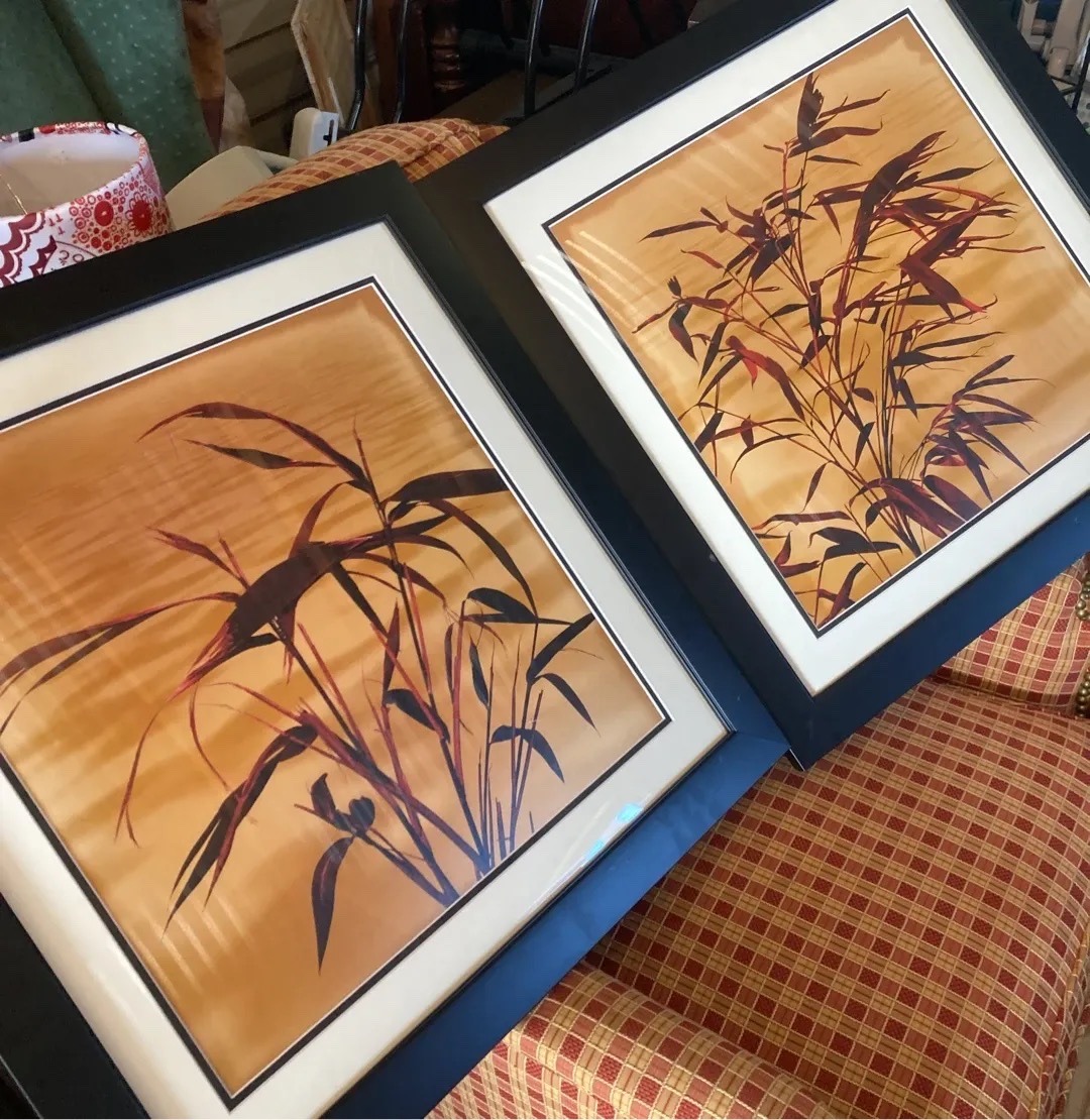 Submitted photo of Framed botanical art prints depicting bamboo branches