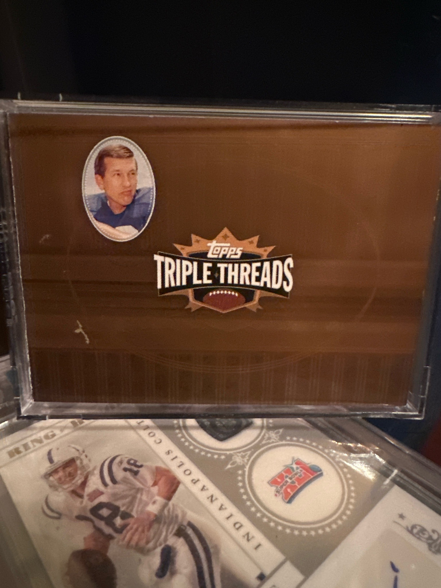 Submitted photo of Topps Triple Threads Johnny Unitas Trading Card (not authenticated)