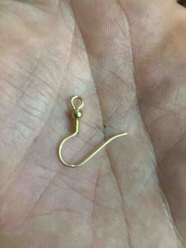 Earring Hook