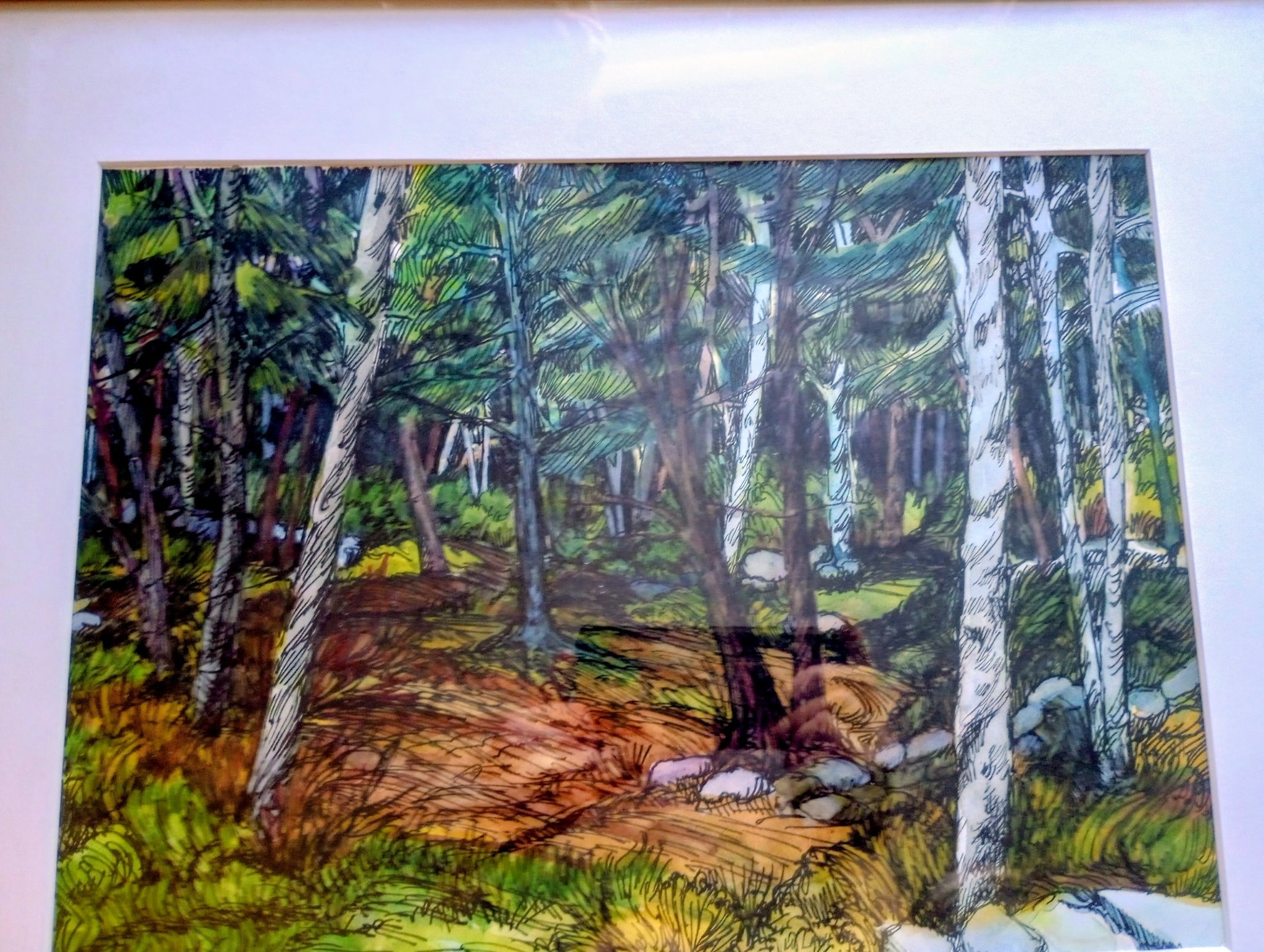 Submitted photo of Framed woodland landscape print