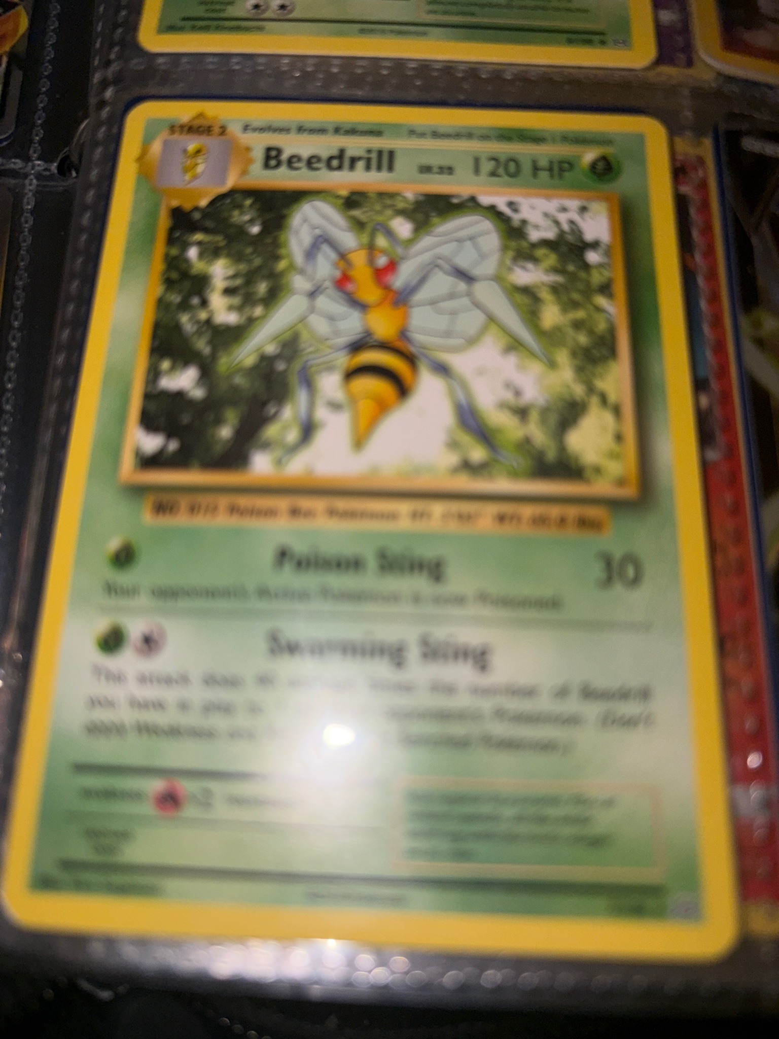 Submitted item photo