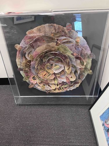 Multi-Layered Organic Form Paper/Fabric Sculpture in Acrylic Case