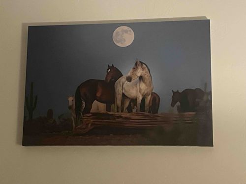 Wild Horses Under a Full Moon Canvas Print