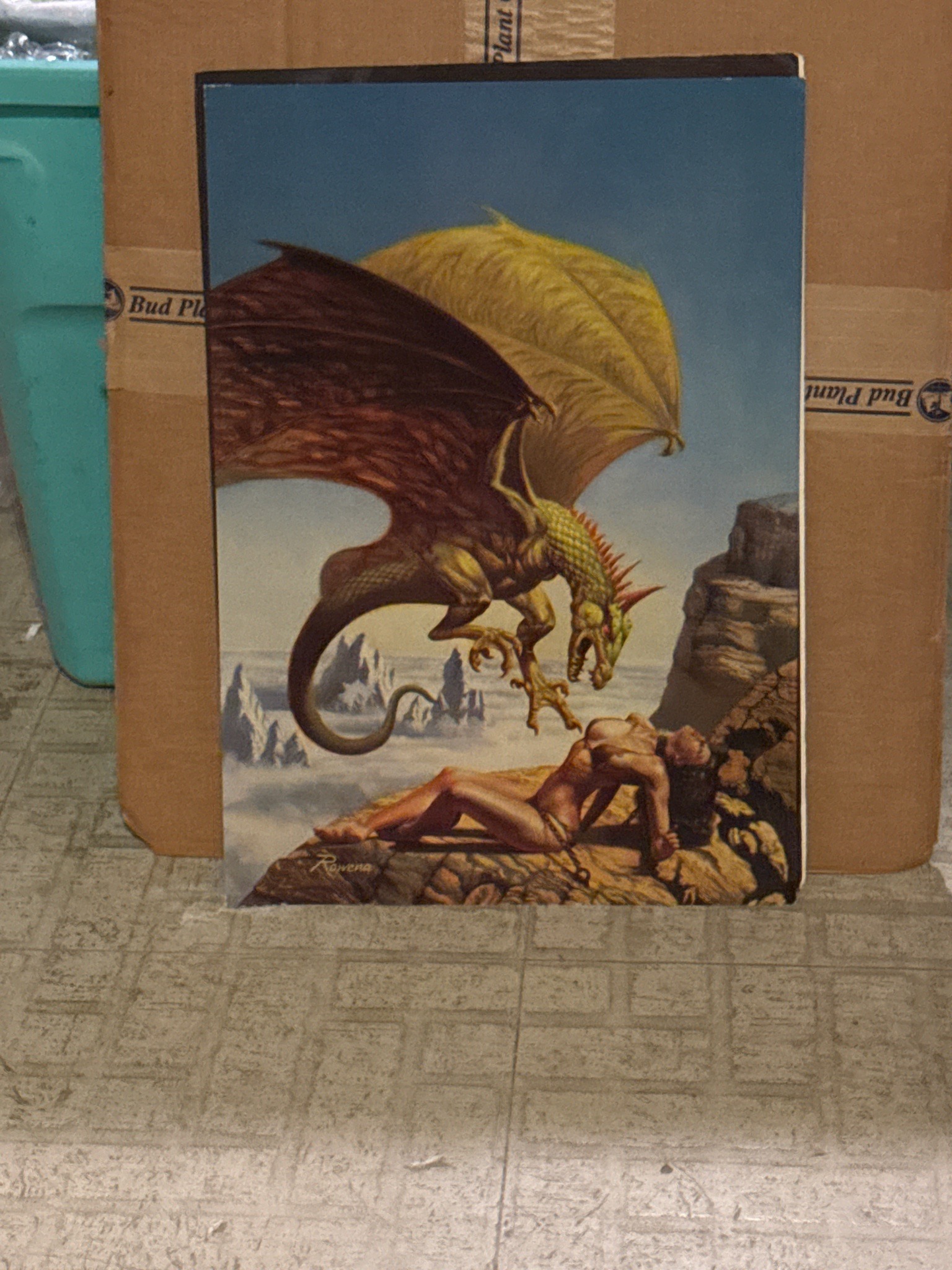 Submitted item photo
