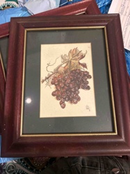 Framed Botanical Print of Grapes